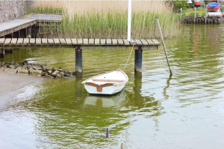 Hausboot Fjord Aries Mit Dachterrasse In Schleswig Ξενοδοχείο Εξωτερικό φωτογραφία